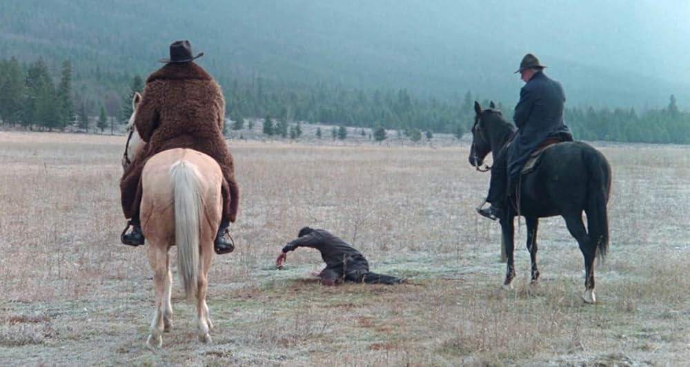 グレイフォックスの画像