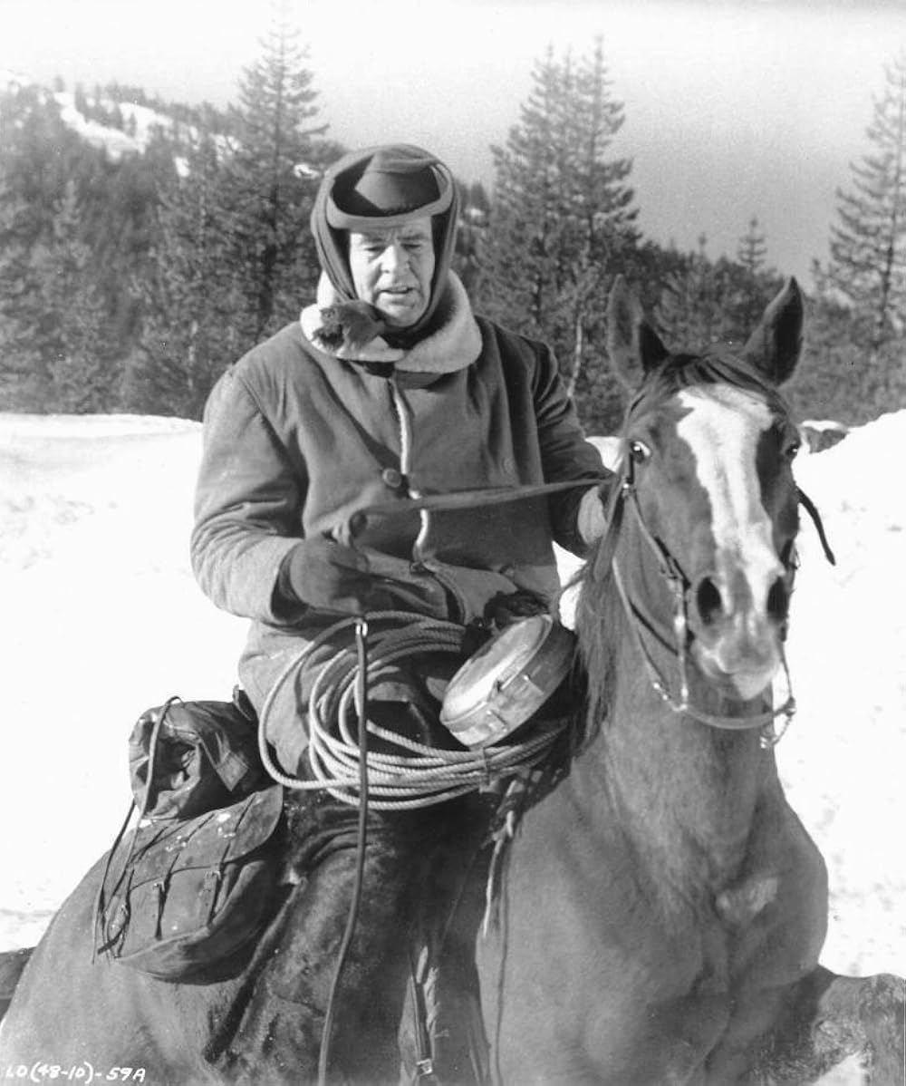 無法の拳銃の画像