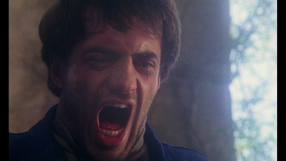 ルチオ・フルチのホラー・ハウスの画像