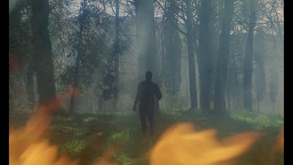 ルチオ・フルチのホラー・ハウスの画像