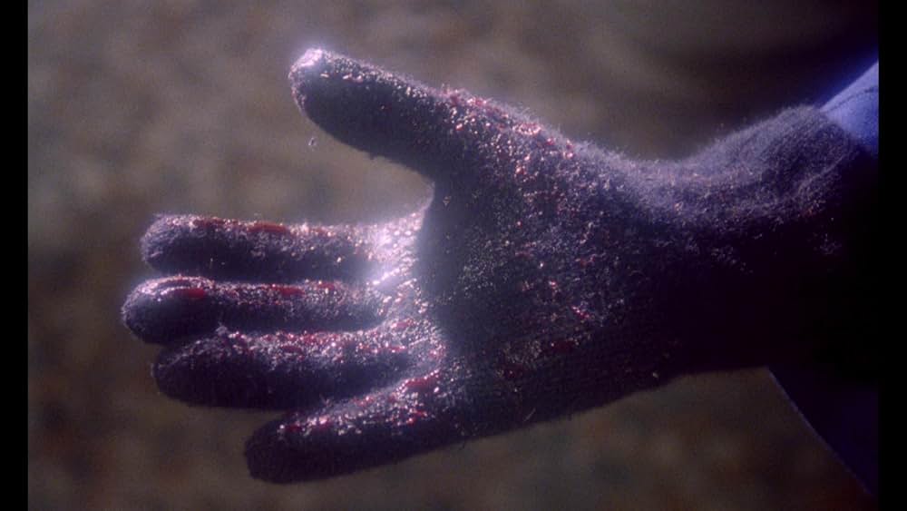 ルチオ・フルチのホラー・ハウスの画像