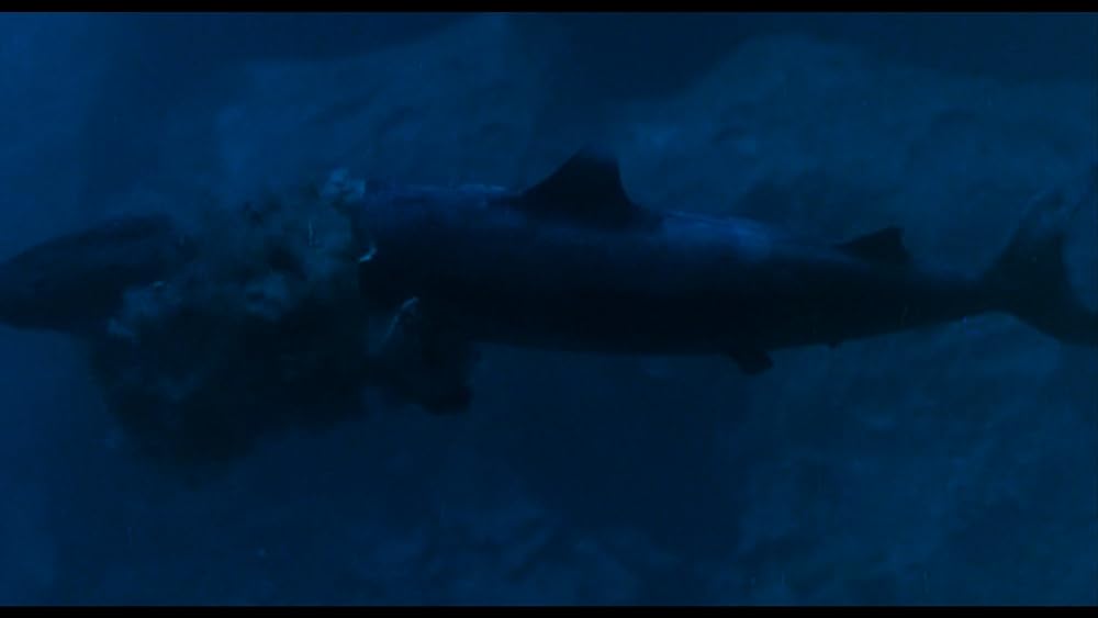 ジョーズ’96／虐殺篇の画像