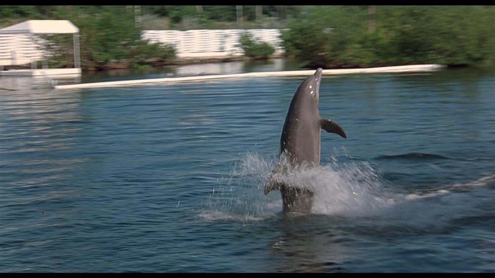 ジョーズ’96／虐殺篇の画像