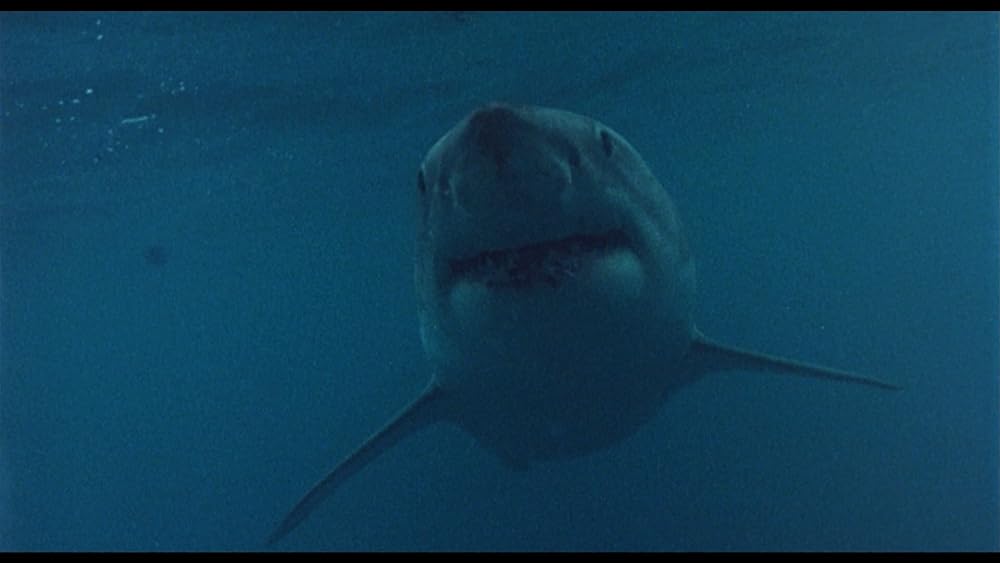 ジョーズ’96／虐殺篇の画像