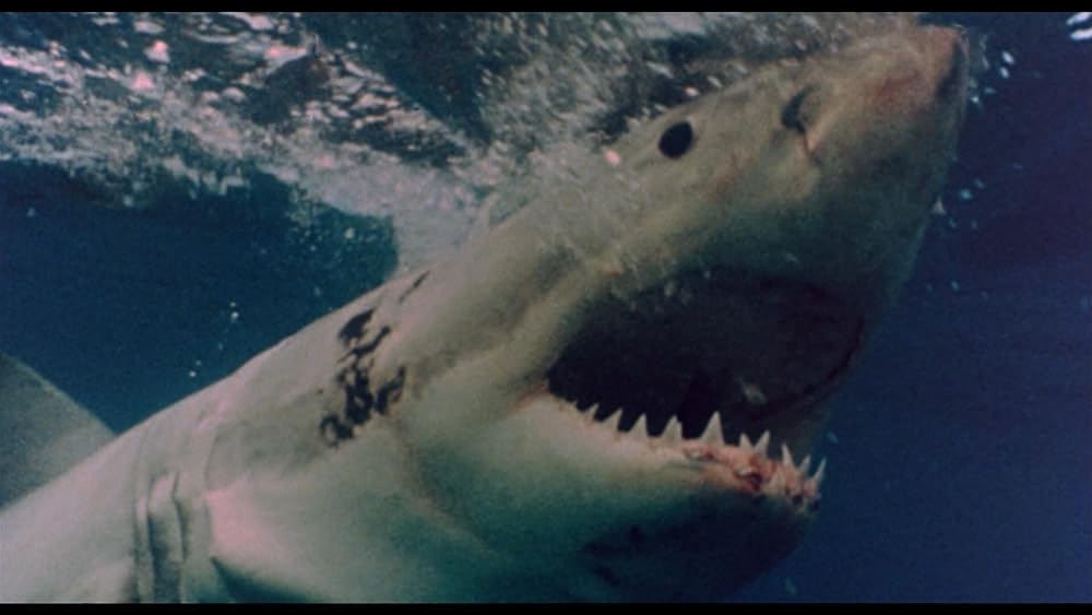 ジョーズ’96／虐殺篇の画像