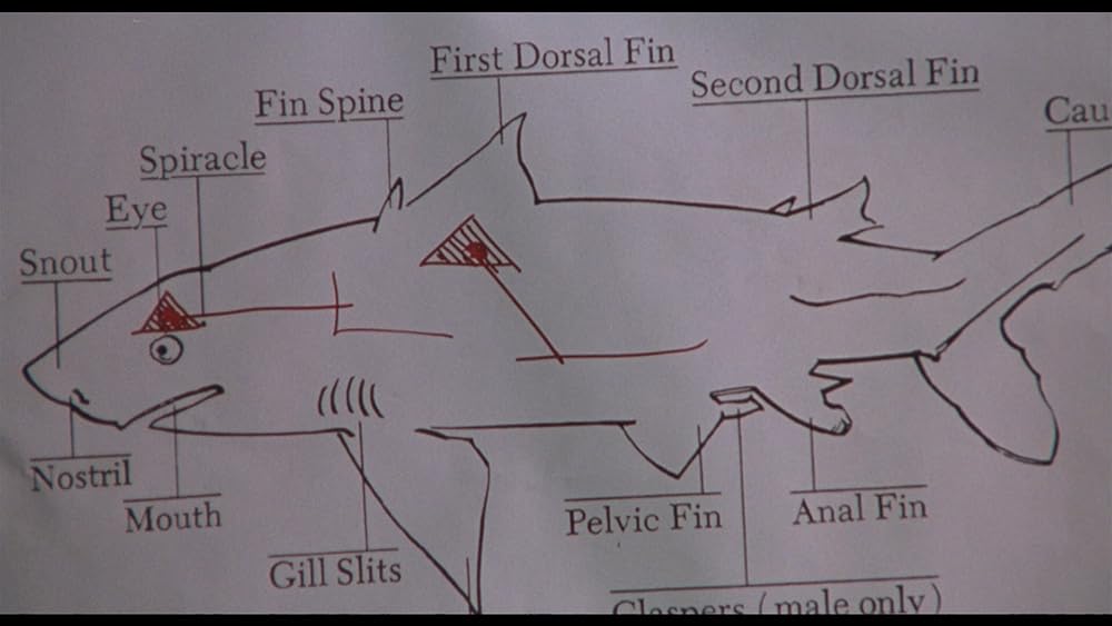 ジョーズ’96／虐殺篇の画像