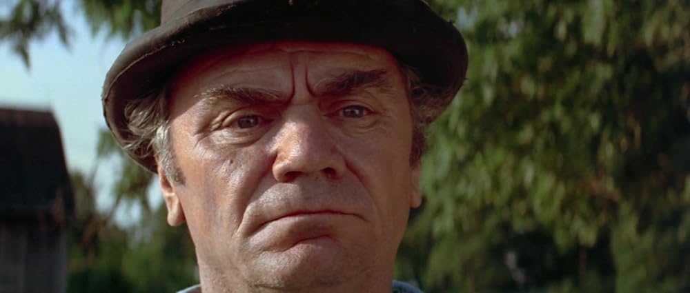 カントリー・サンデー／恐怖の日曜日の画像