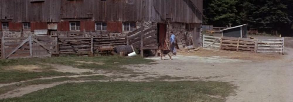 カントリー・サンデー／恐怖の日曜日の画像