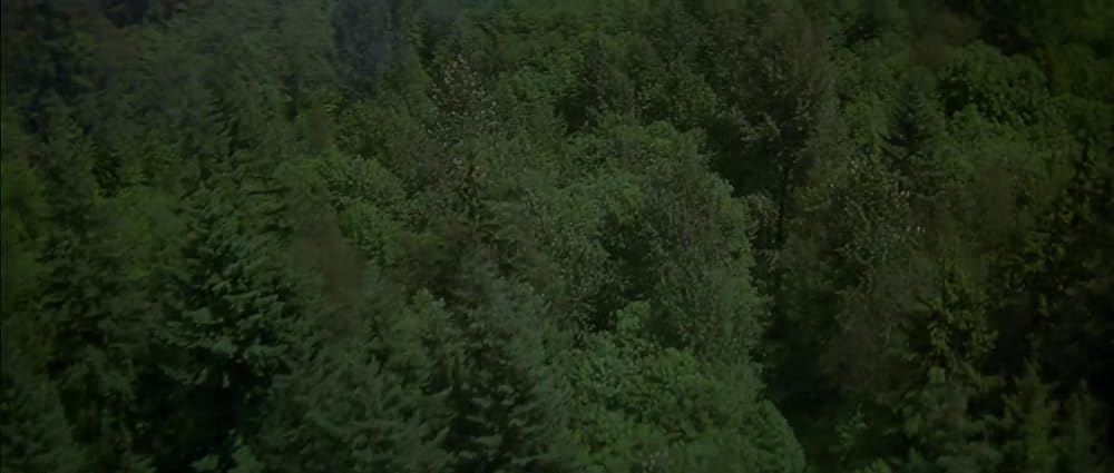 バッドムーン 番犬vs狼男の画像