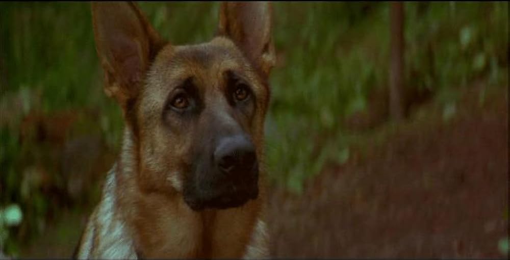 バッドムーン 番犬vs狼男の画像