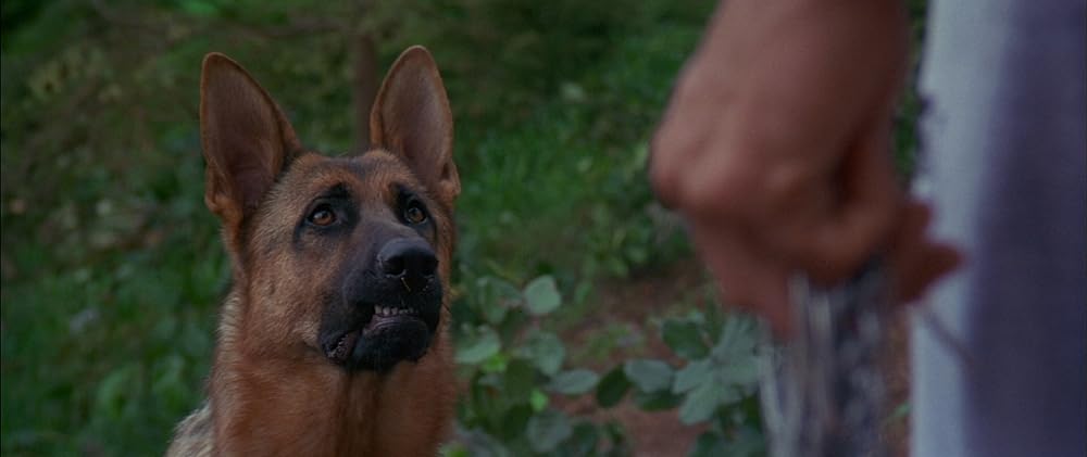 バッドムーン 番犬vs狼男の画像