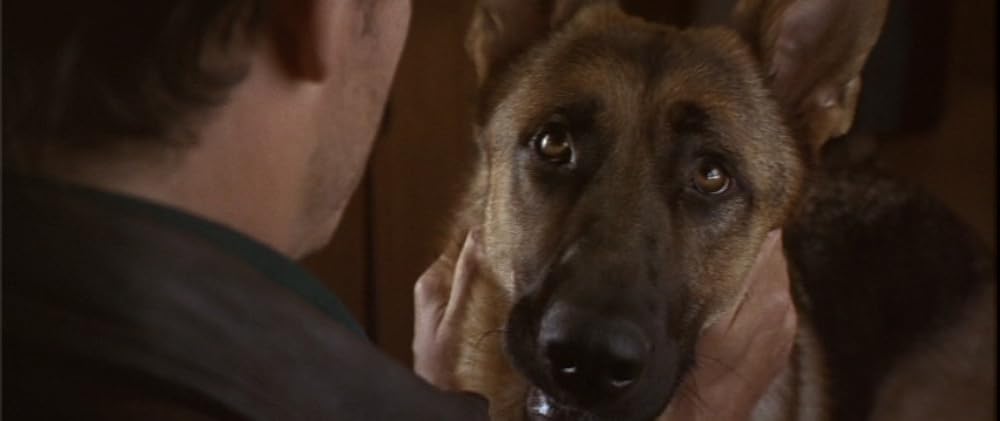 バッドムーン 番犬vs狼男の画像