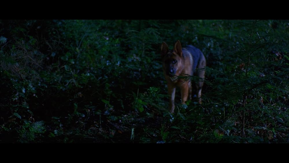 バッドムーン 番犬vs狼男の画像