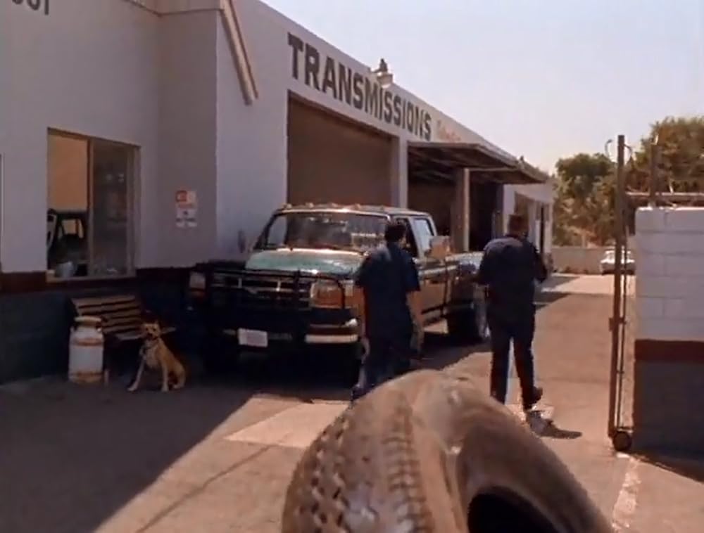 CUPID キューピッドの画像