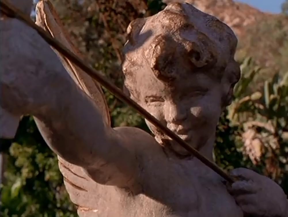 CUPID キューピッドの画像