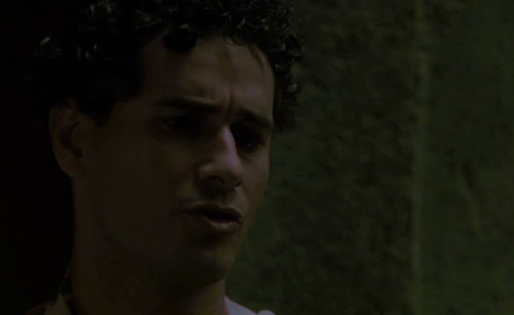 パプリカの画像