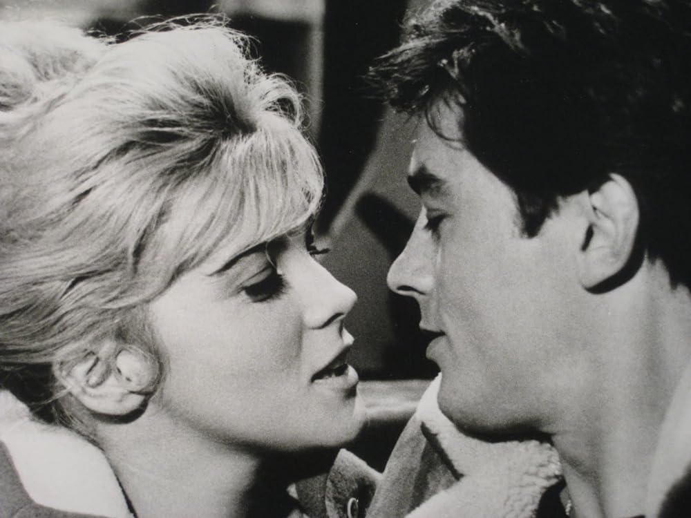 泥棒を消せの画像