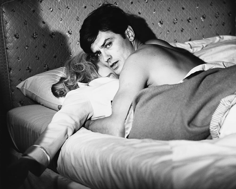 泥棒を消せの画像