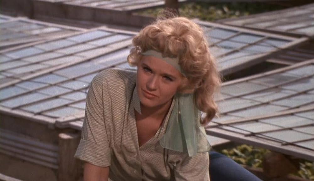 二十歳の火遊びの画像