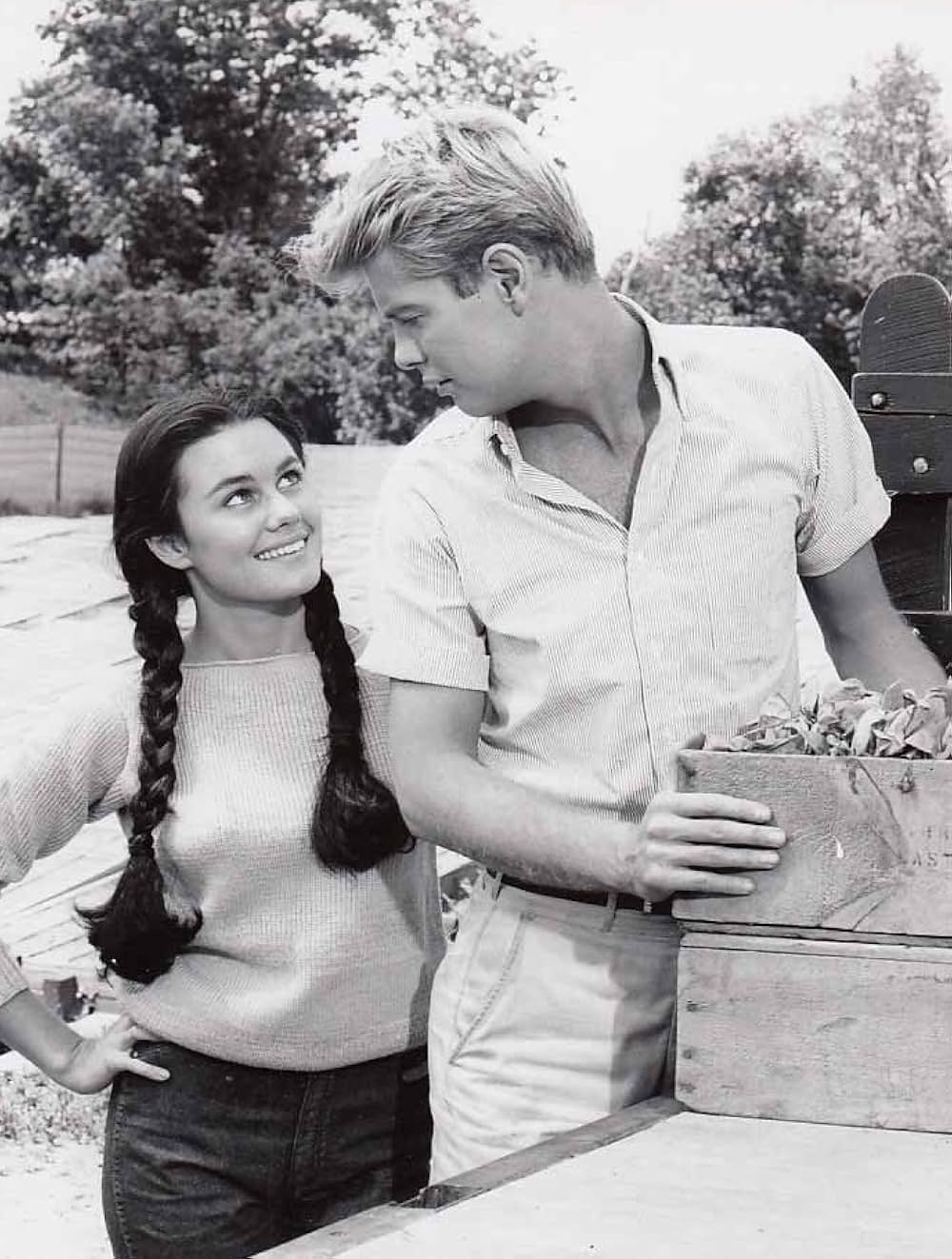 二十歳の火遊びの画像