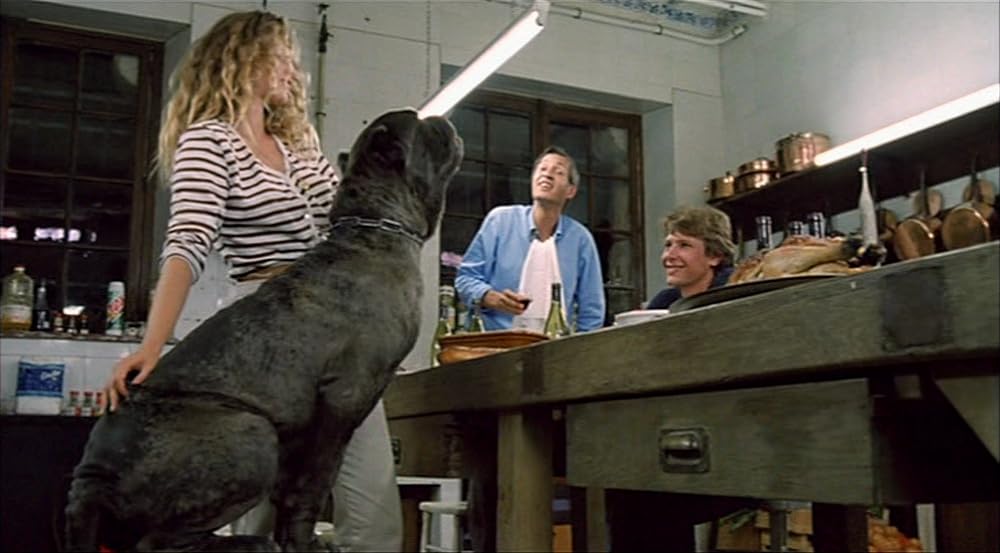 ロザリンとライオンの画像