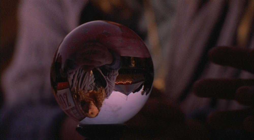 ロザリンとライオンの画像