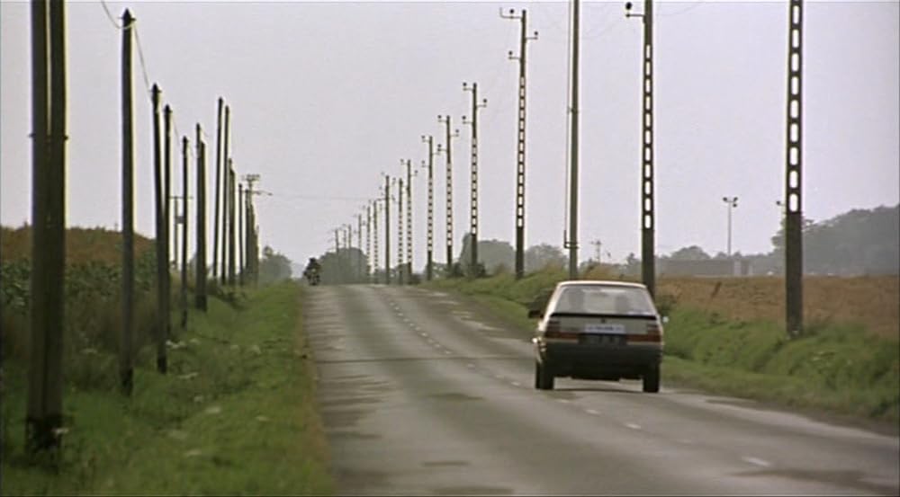 ロザリンとライオンの画像