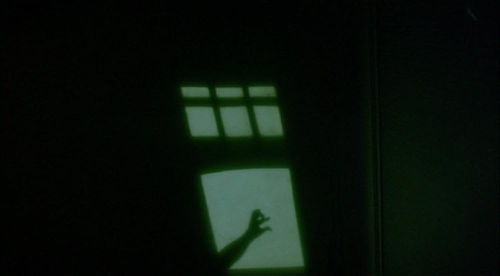 ロザリンとライオンの画像