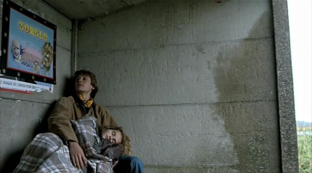 ロザリンとライオンの画像