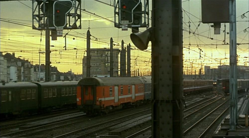 ロザリンとライオンの画像