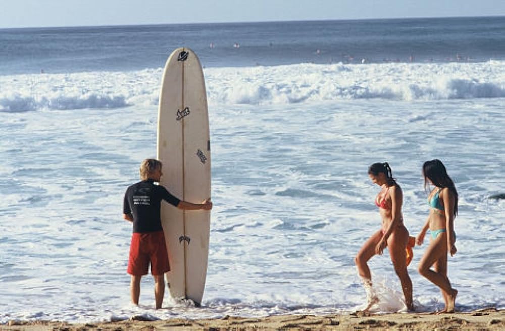 ビッグ・バウンスの画像