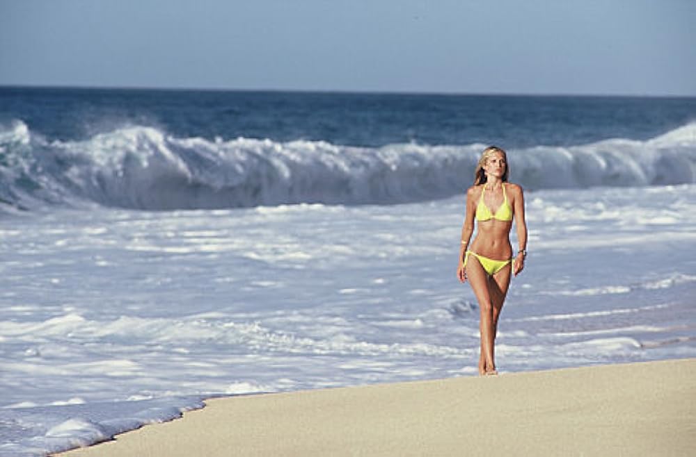 ビッグ・バウンスの画像