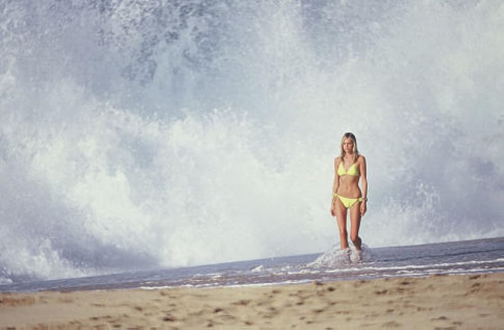 ビッグ・バウンスの画像