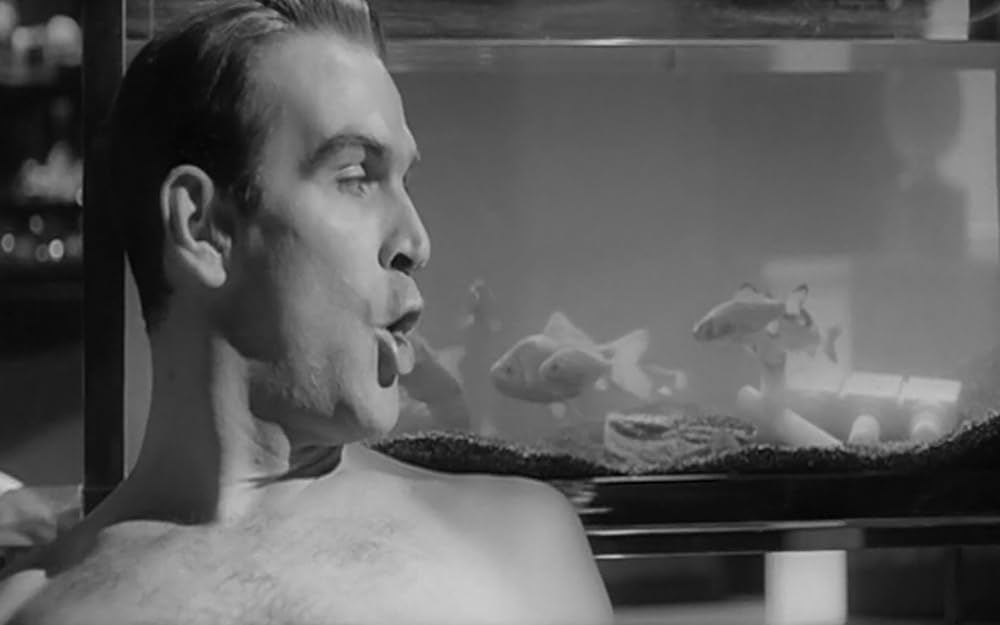 エヴァの匂いの画像