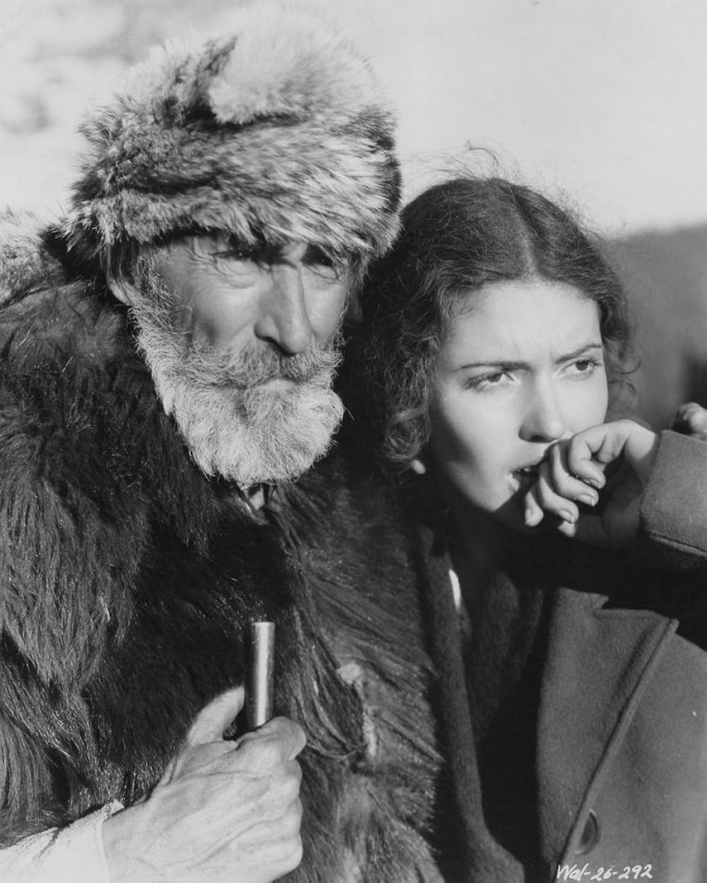 ビッグ・トレイルの画像