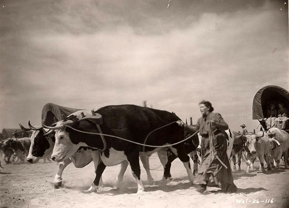 ビッグ・トレイルの画像