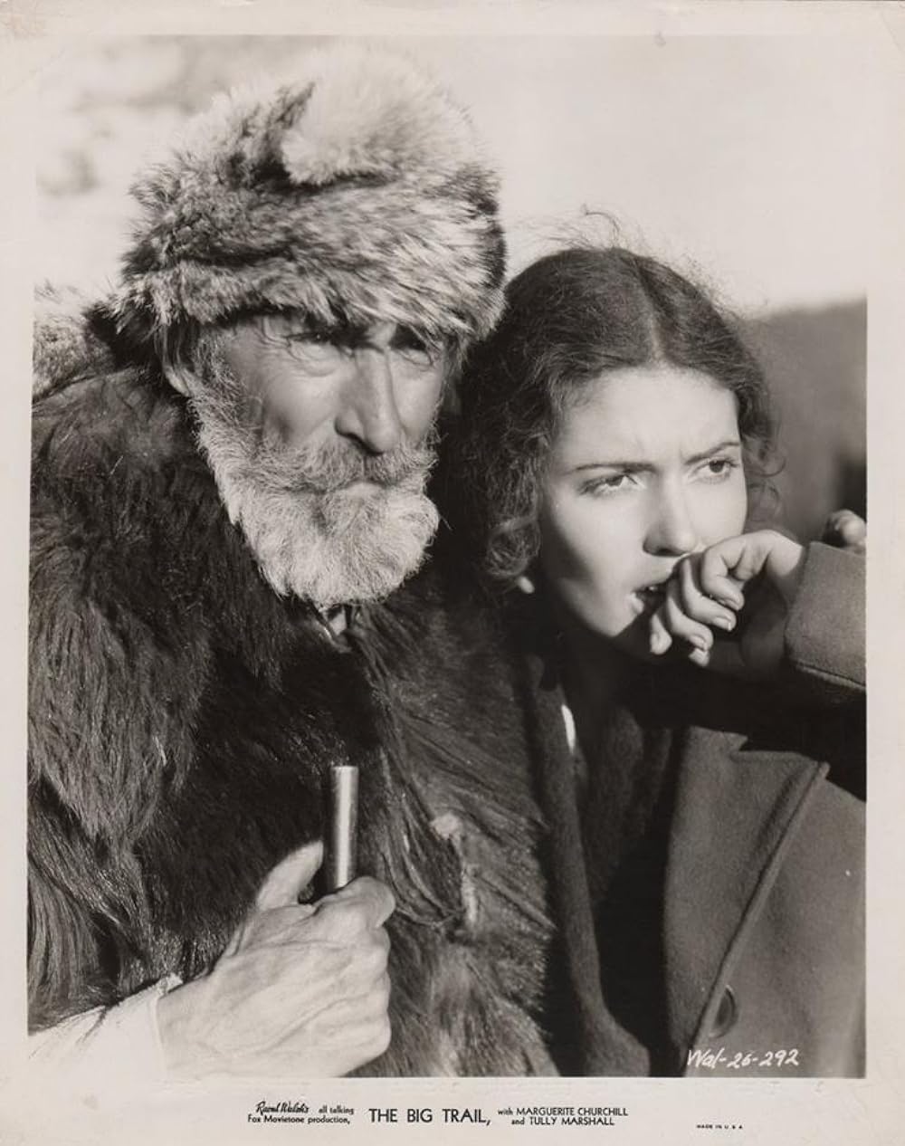 ビッグ・トレイルの画像