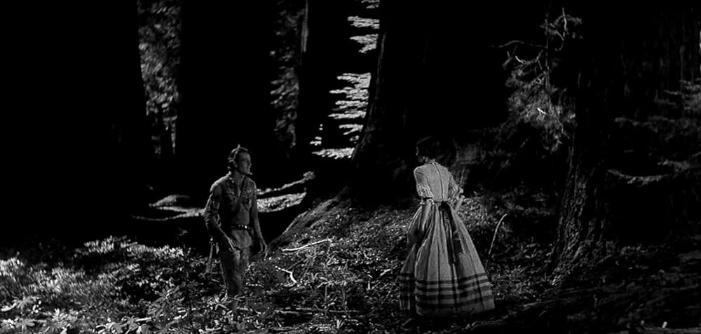 ビッグ・トレイルの画像