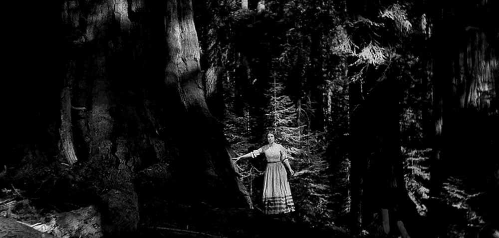 ビッグ・トレイルの画像