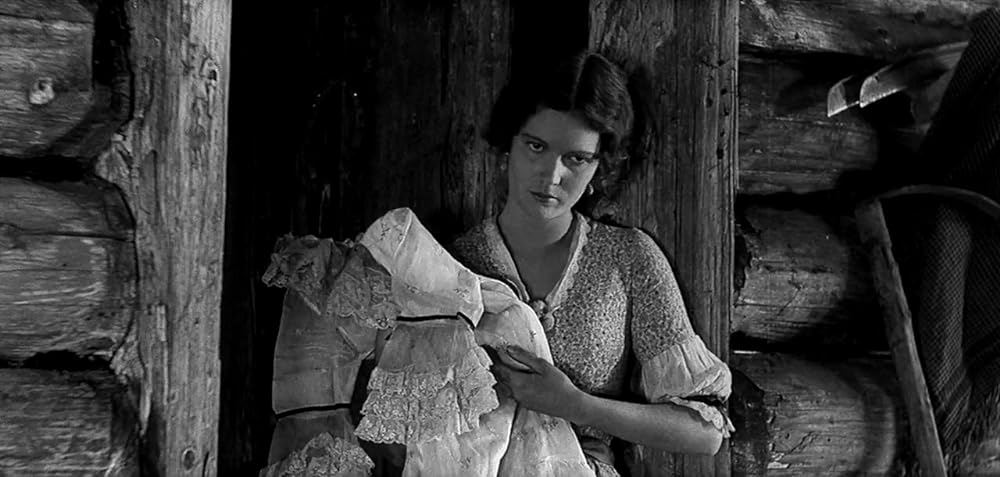 ビッグ・トレイルの画像