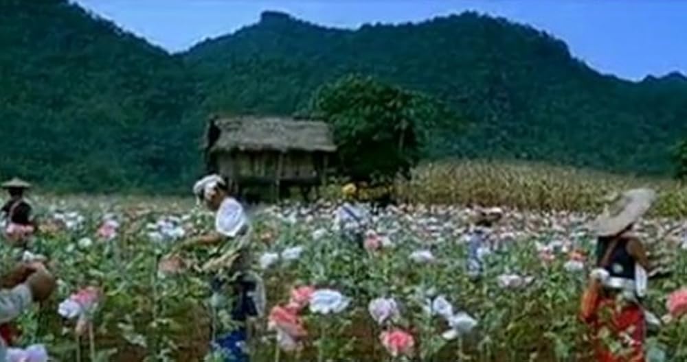 プロテージ／偽りの絆の画像