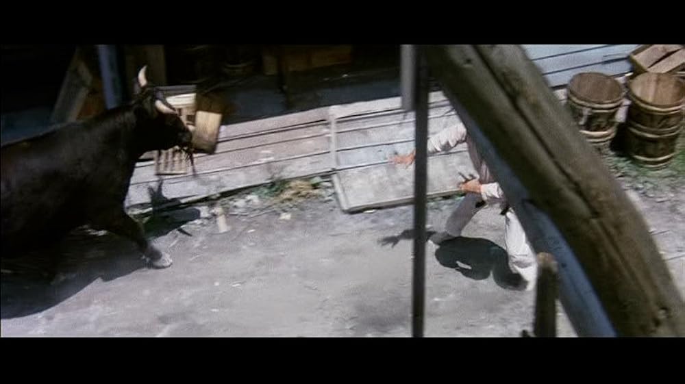 けんか空手 極真拳の画像