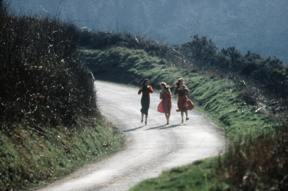 スカートの翼ひろげての画像