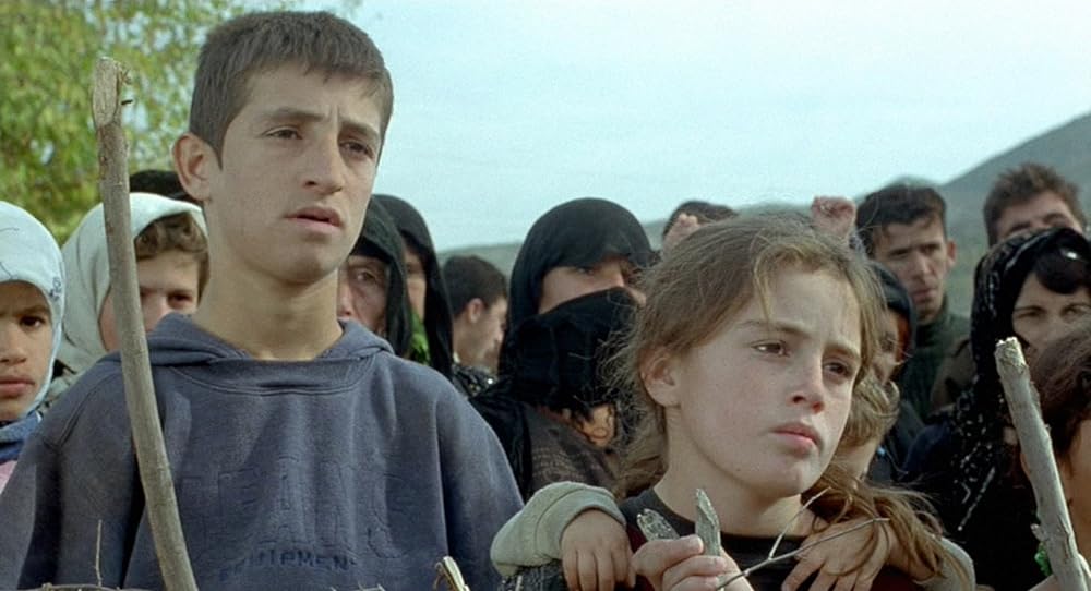 亀も空を飛ぶの画像