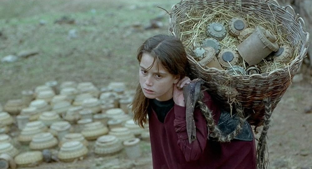 亀も空を飛ぶの画像