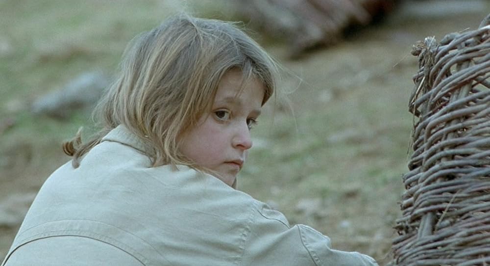 亀も空を飛ぶの画像