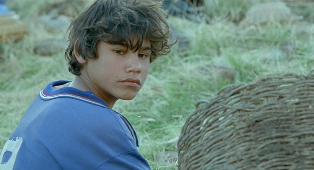 亀も空を飛ぶの画像