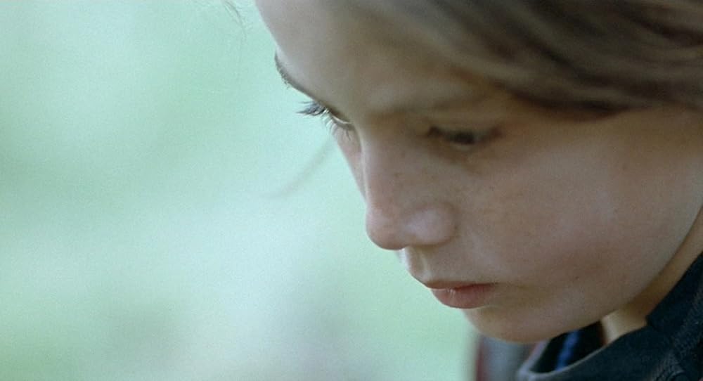 亀も空を飛ぶの画像