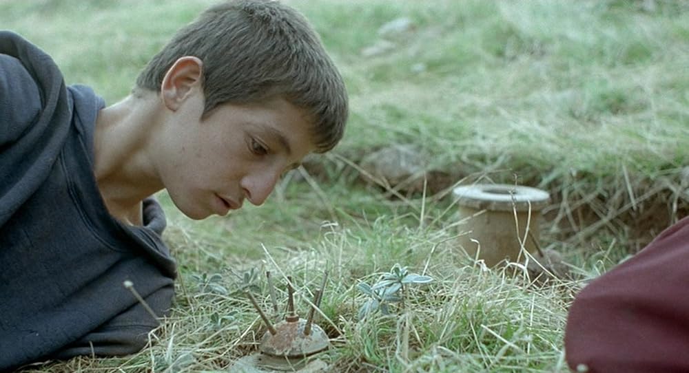 亀も空を飛ぶの画像