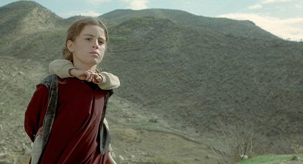 亀も空を飛ぶの画像